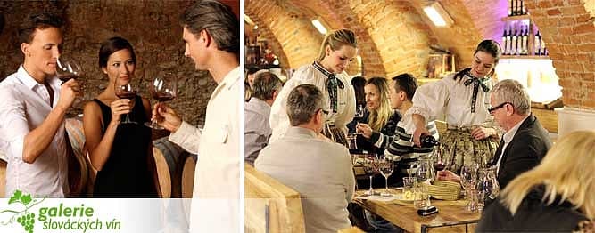 Degustace vín pro 2 osoby