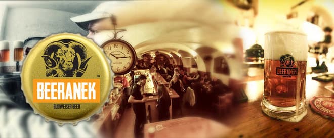 1 pivo BEERANEK a stylový půllitr s logem