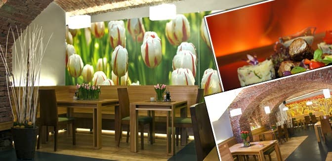  Obědové menu ve stylové restauraci TULIP 