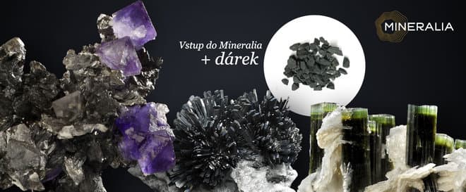 Rodinný vstup do Mineralie a 1 kg šungitové drti