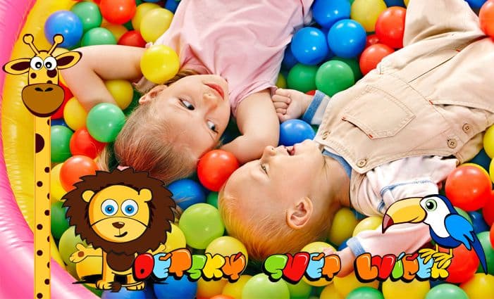 Celodenní vstup do úžasného dětského světa Lvíček