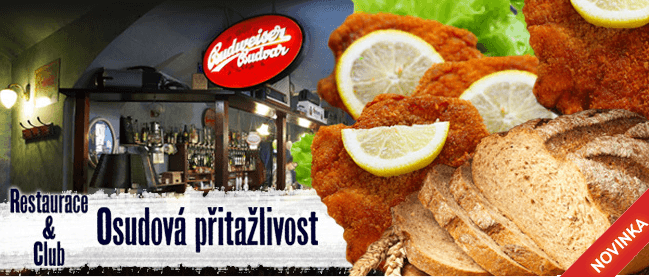 1 KG KUŘECÍCH ŘÍZKŮ včetně PEČIVA nebo HRANOLEK