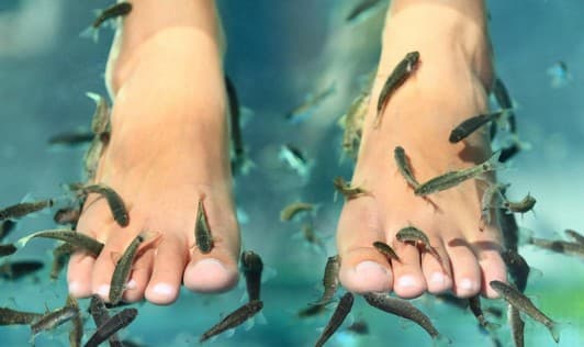 Koupel nohou s rybkami Garra Rufa a SPA pedikúra