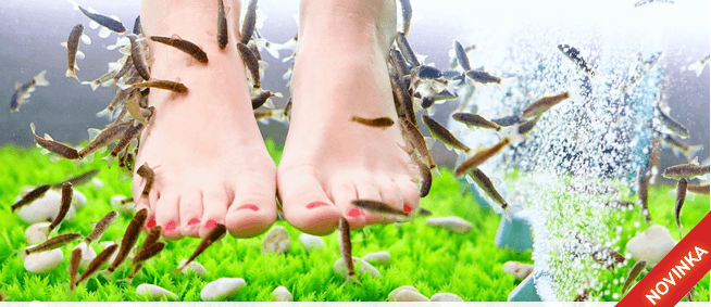 Relaxační MIKROMASÁŽ pomocí RYBIČEK GARRA 