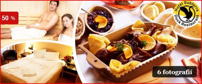 4chodové kachní menu pro dva + wellness(Ostrov)