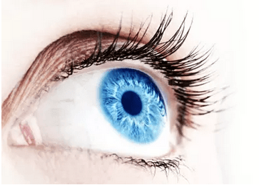 Trvalá na řasy + barvení řas v Beauty Clinic
