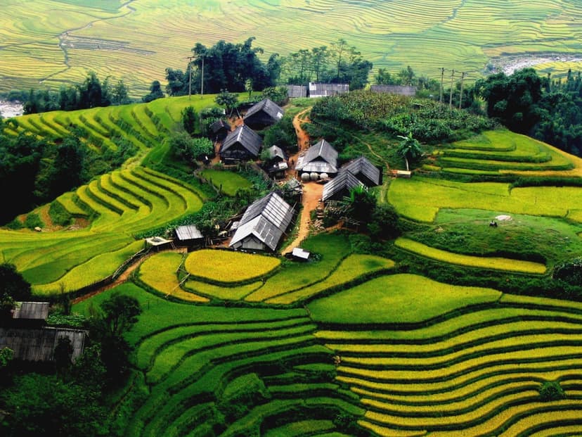 Zpáteční letenky Vídeň - Vietnam (Ho Či Minh)