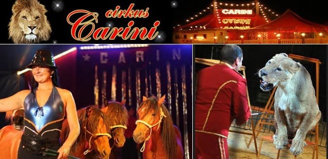 Vstupenka pro 1 osobu do cirkusu CARINI