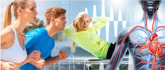 Vyšetření cév přístrojem Max Pulse - za korunu