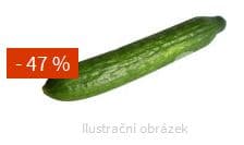  Okurka hadovka 47% sleva