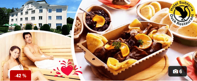 3chodové kachní menu + soukromý wellness(Ostrov)
