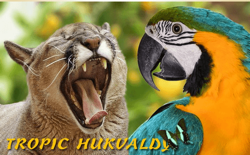 Vstupenka pro 2 dospělé a 2 děti do ZOO(Hukvaldy)