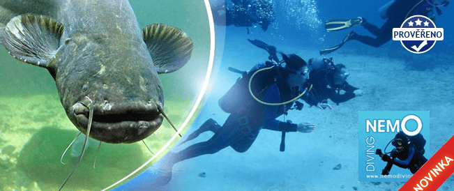 Kurz potápění pro začátečníky Open Water Diver! 