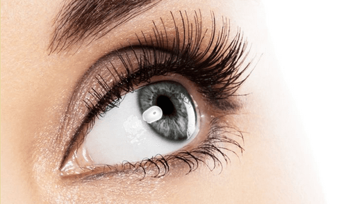 Prodlužování řas metodou řasa na řasu Best lashes
