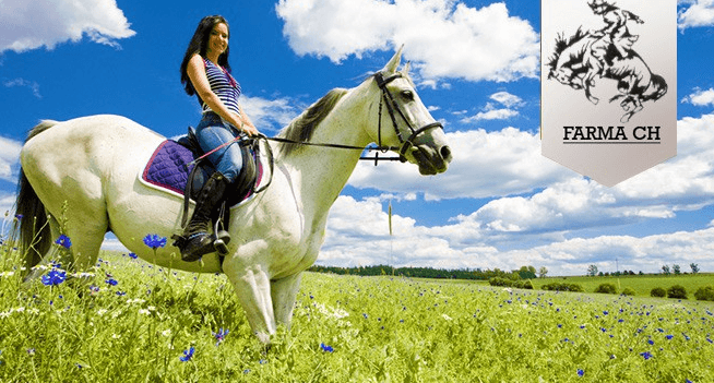 Celodenní program na Farmě Ch v Cetkovicích