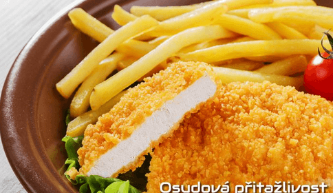1 kg kuřecích řízečků s hranolky