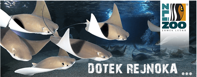 ZOO Zlín