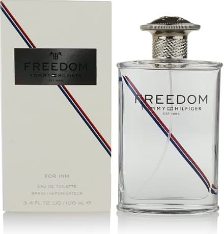Pánský parfém Tommy Hilfiger Freedom 100 ml