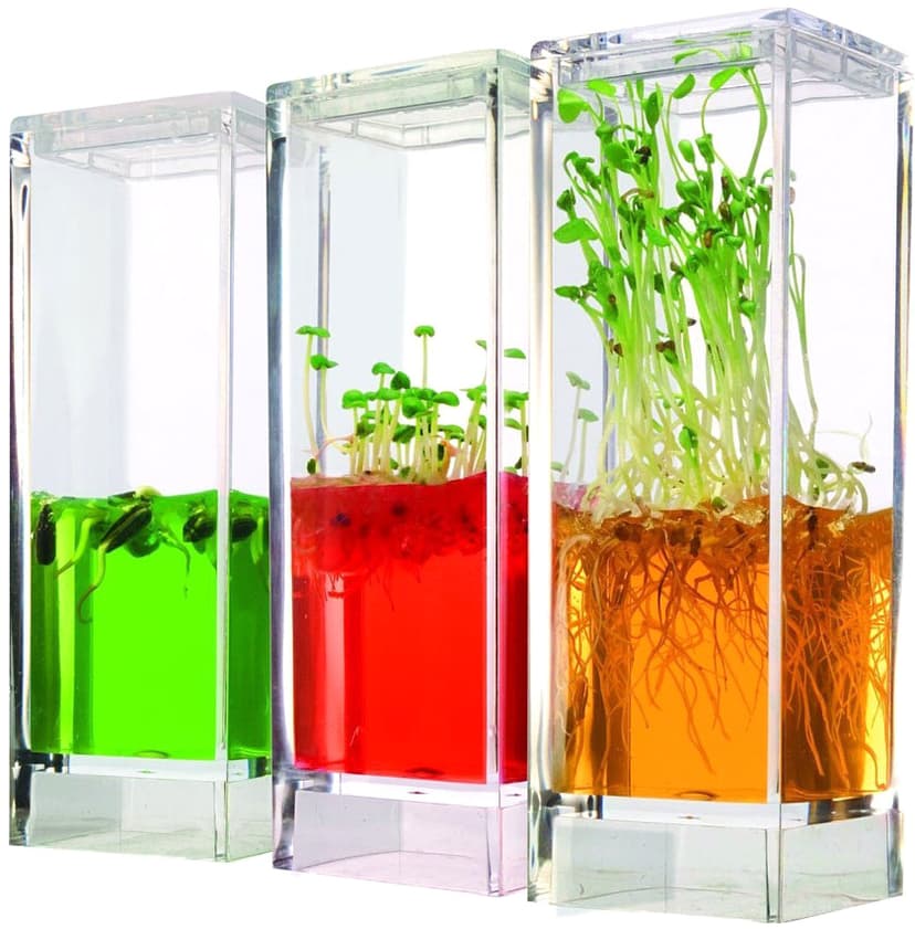 Plantarium Gel Lab - výuková sada biologie
