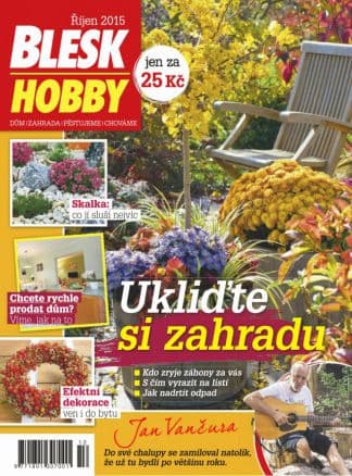 Předplatné časopisu Blesk Hobby + dárek