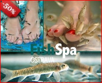Dopřejte si relaxační koupel s rybičkami
