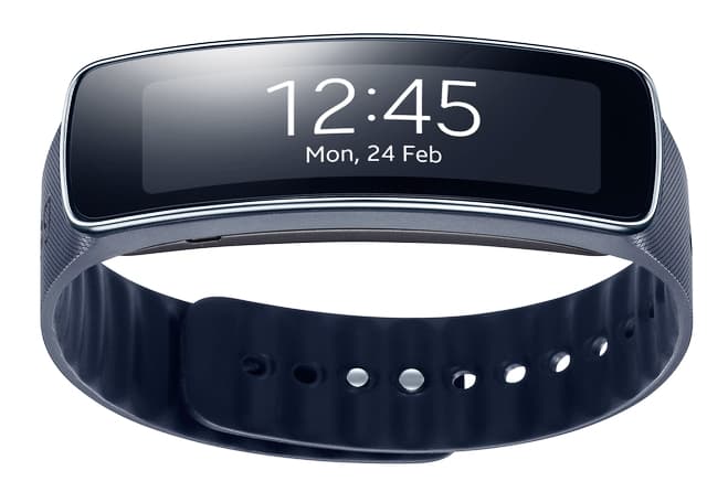 Samsung Galaxy Gear Fit + 16 GB Micro SD