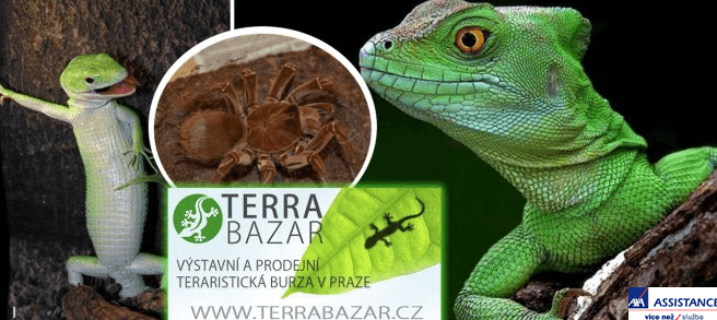 Vstupenka na TERRABAZAR