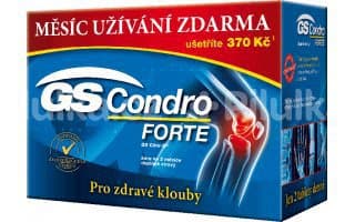 GS Condro Forte 180 tablet nejlevněji