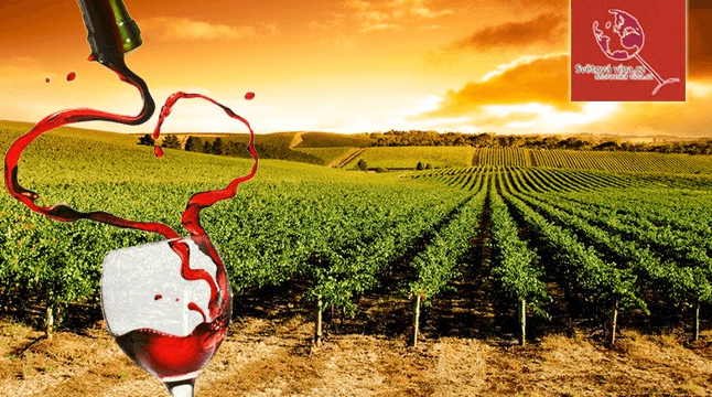 Vinařský kurz spojený s degustací