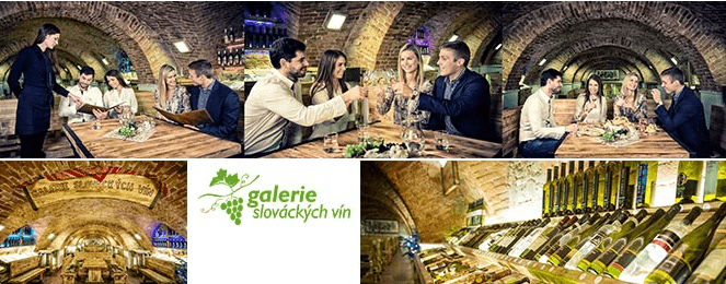 Degustace vín pro 2 osoby(Uherské Hradiště)