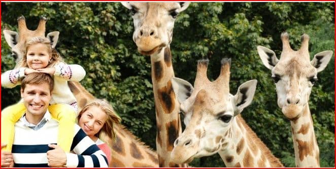Pojďte v březnu do ZOO!