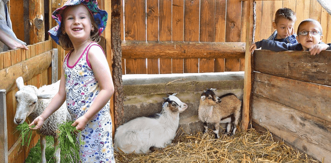Celodenní vstupenky do minizoo(Kamenice nad Lipou)