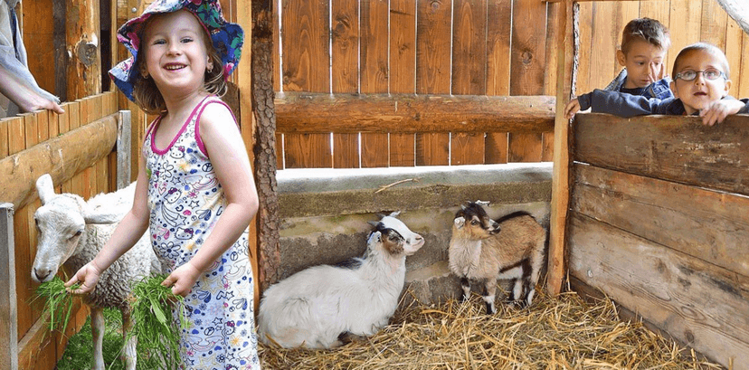 Celodenní vstupenky do minizoo(Kamenice nad Lipou)