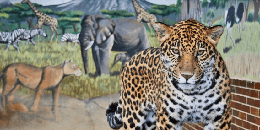 Vstupenky do hodonínského zoo