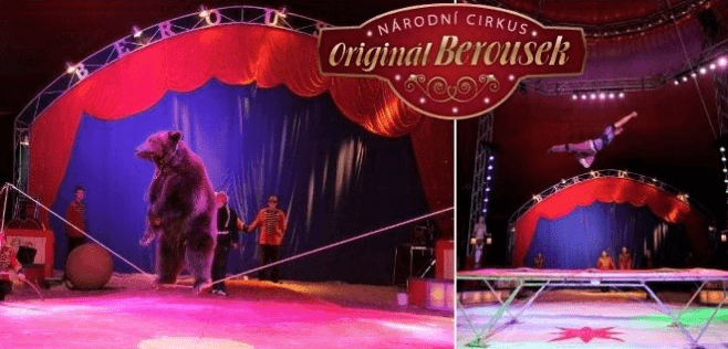Vstupenka do Národního Cirkusu Originál Berousek