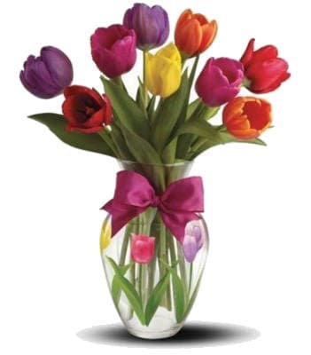 Uber - kytice 9 tulipánů zdarma + kredity na taxi