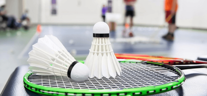 Hodinový pronájem badminton kurtu v Třešňovce