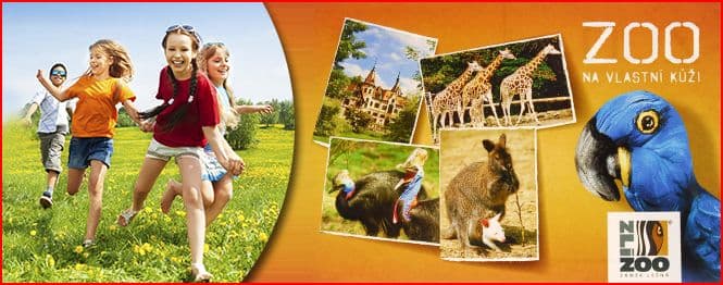 Prázdninová ZOO ŠKOLIČKA