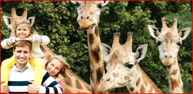 Pojďte v červnu do ZOO!