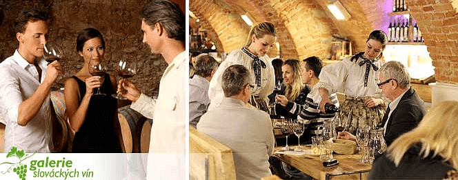 Degustace vín a sladká specialita