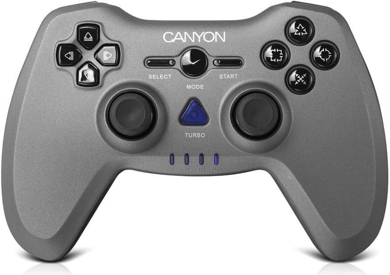 Gamepad Canyon, PC, PS2/PS3