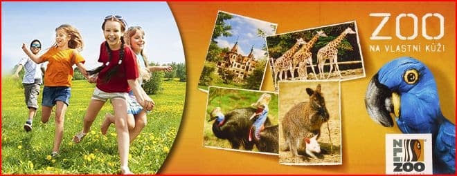 Prázdninová ZOO ŠKOLIČKA