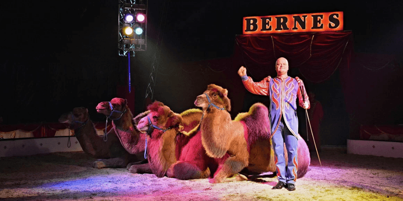 Vstupenka na show cirkusu Bernes