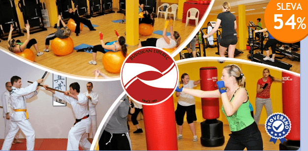 Měsíční permanentka do sportovního centra Budokan!