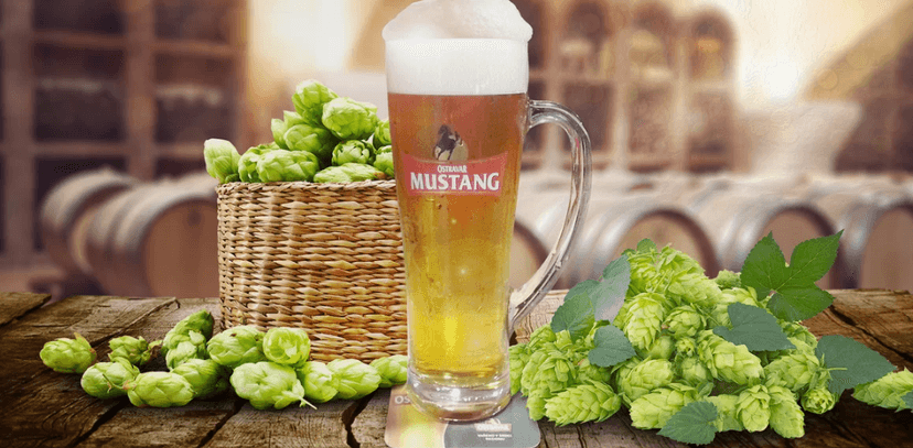 1× 0,5 l piva Ostravar Mustang 11°
