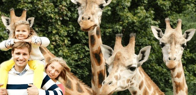 Vstupenka pro dospělého do Zoo