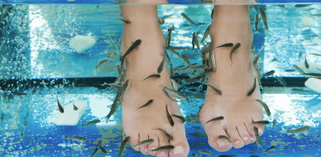 Koupel nohou s rybičkami Garra Rufa