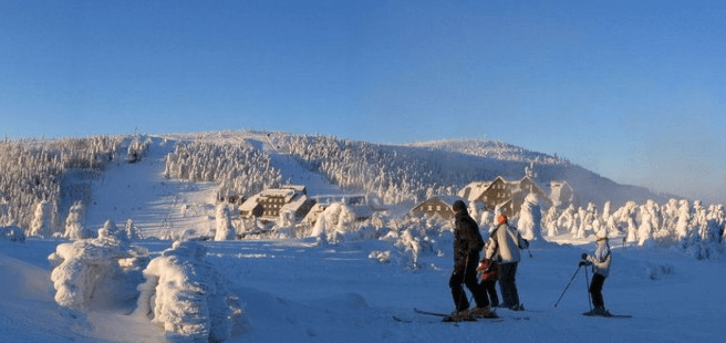 Celodenní skipas do ski areálu