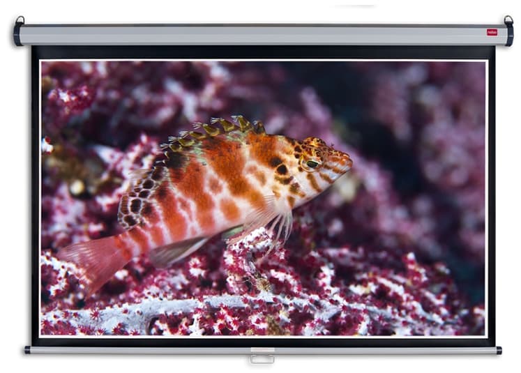 Projekční plátno Acer, 80" (203 cm)