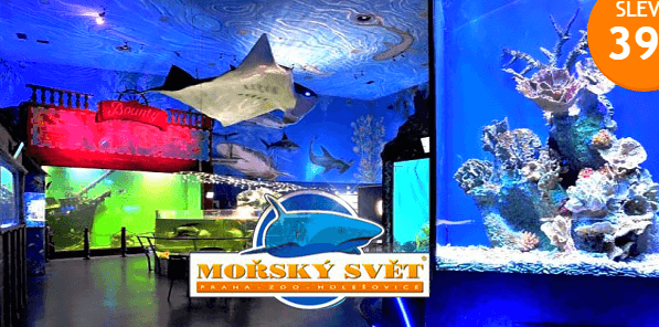 MOŘSKÝ SVĚT rodinné vstupné